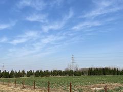 -汉长安城未央宫国家考古遗址公园