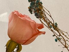 -黄浦区瑞金二路社区文化活动中心