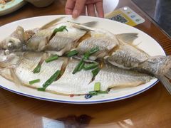 清蒸白水鱼-灵福缘私房菜·农家菜(拈花湾·灵山大佛必推店)