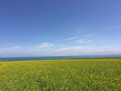 -青海湖国家重点风景名胜区