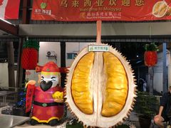 -都念榴莲·城市榴莲