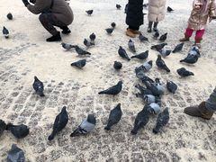 -谢尔盖圣三一大修道院
