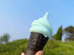 -小麦岛公园