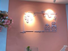 -喵宠乐园·撸猫互动·猫舍