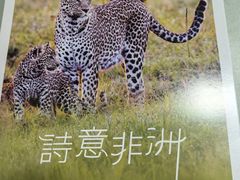 -好利来(朝外店)