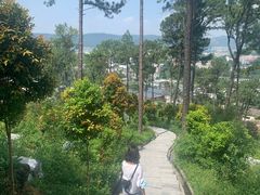 -火炉山森林公园