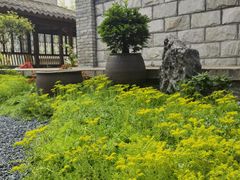 -乌山风景区
