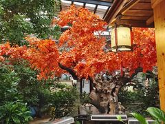 -老山东·山东菜(鲁菜名店)