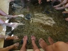 -中家鑫园温泉酒店鑫悦汤泉