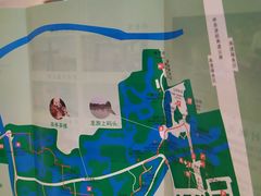 -中国扬子鳄村