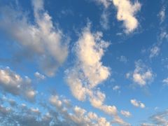 -厦门邮轮中心厦鼓码头(轮渡站)
