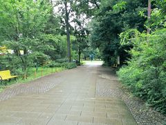 -三鹰之森吉卜力美术馆