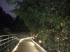 -宝莱纳啤酒花园餐厅PAULANER BRAUHAUS Nanjing(广州路店)