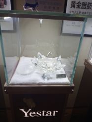 -Yestar艺星医疗美容医院