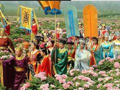 -神州牡丹园