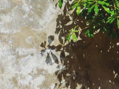 -VOYAGE COFFEE(北锣鼓巷店)