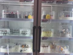 -DQ·蛋糕·冰淇淋(三亚青春颂店)