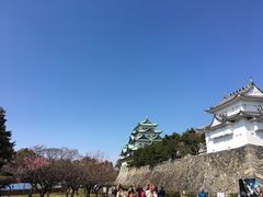 -名古屋城