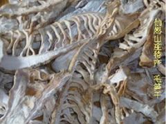 -仙山谷激浪漂流