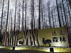 -黄海国家森林公园