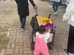 -杨柳青庄园