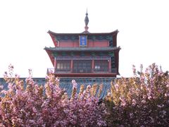 -石岛赤山风景区