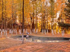 -艾溪湖湿地公园