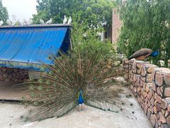 -金庭庄园酒店-停车场