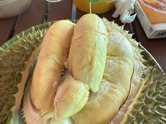 -榴莲BB 四季果园