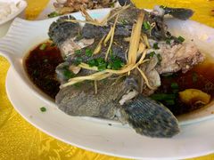 清蒸海鱼-浩海美食店(闸坡店)