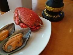 -视界美食自助餐厅·石家庄希尔顿酒店