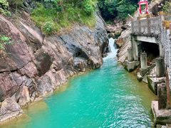 -广州白江湖森林公园