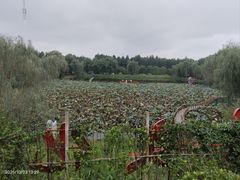 -渌洋湖湿地公园