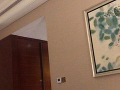 -苏州金鸡湖大酒店