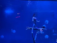 -烟台海昌鲸鲨海洋公园