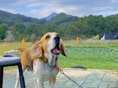 -古山重-长泰滑翔伞基地
