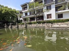 -苏州吴宫泛太平洋酒店