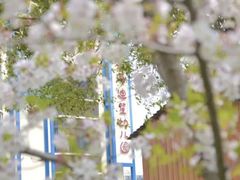 -上海松江区迪笙幼儿园