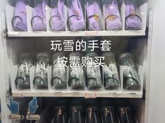 -世界之窗阿尔卑斯冰雪世界