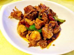 同和三黄鸡-同和居(月坛店)