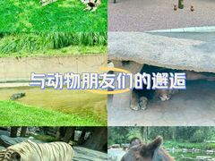 -北京野生动物园