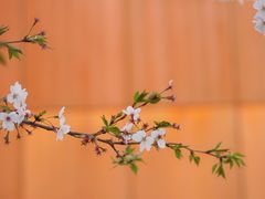 -龙美术馆(西岸馆)