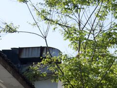 -河坊街景区