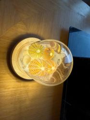 -贝瑞佳月子会所(杭州旗舰店)