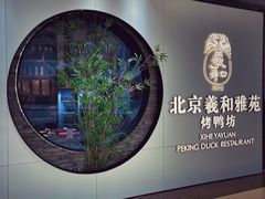 -羲和雅苑•北京烤鸭(乐园道万象城店)
