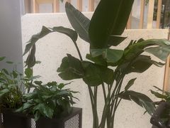 -顺风汤馆·广府粤菜(江宸天街店)