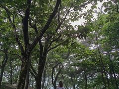 -罗田薄刀峰风景区