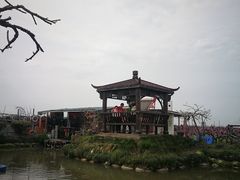 -樂桃源奉贤黄桃种植采摘基地
