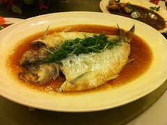 清蒸鲥鱼-上海小南国(国会店)
