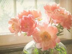 -UME影城(安贞DTS:X店)